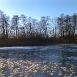 IMAG0552
